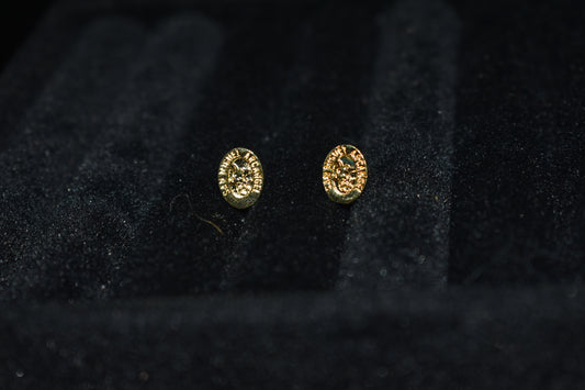 Topo San Miguel Arcangel