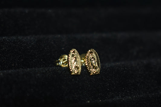 Topo Guadalupe Finita