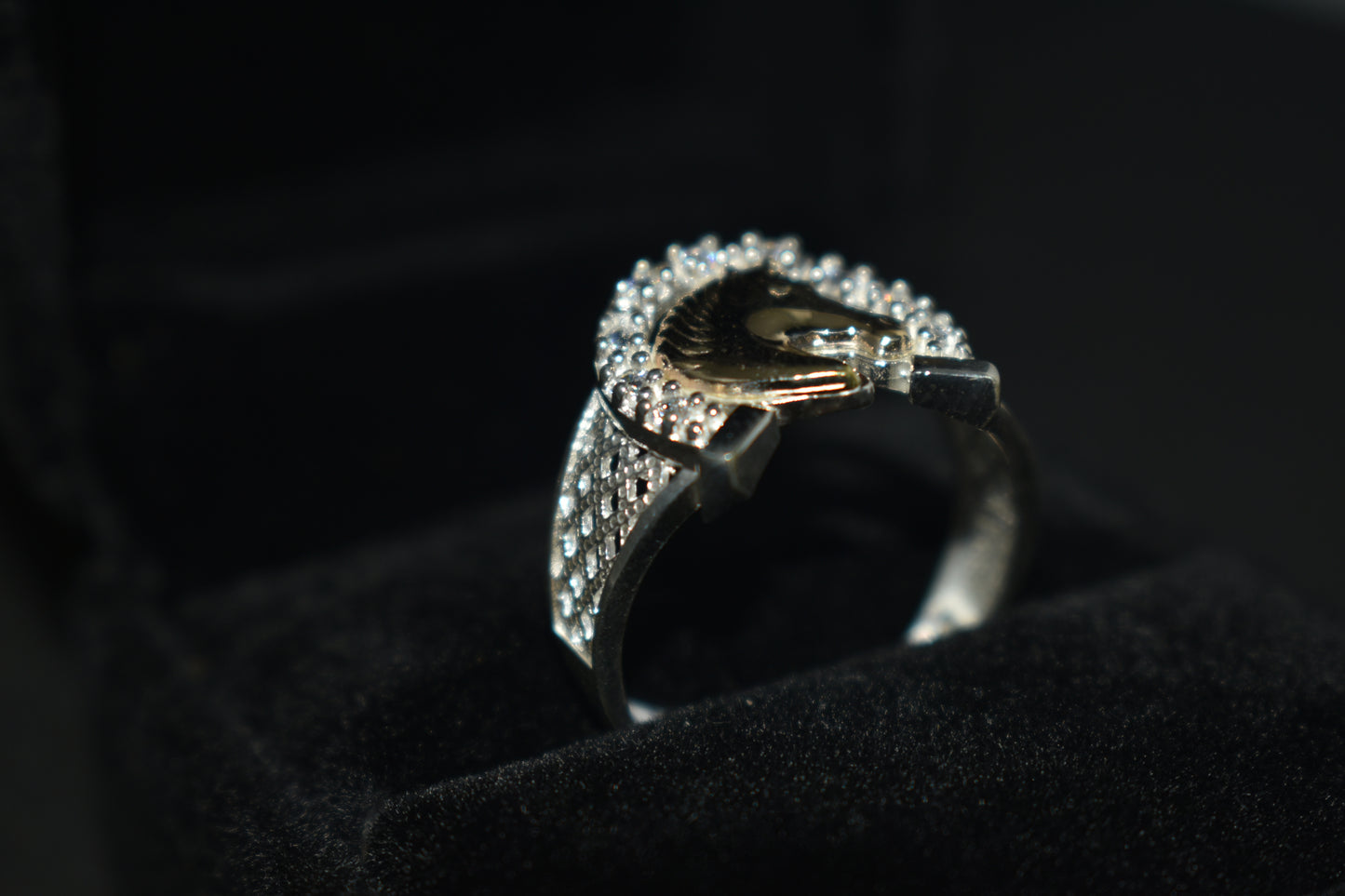Anillo Caballo Circoniado