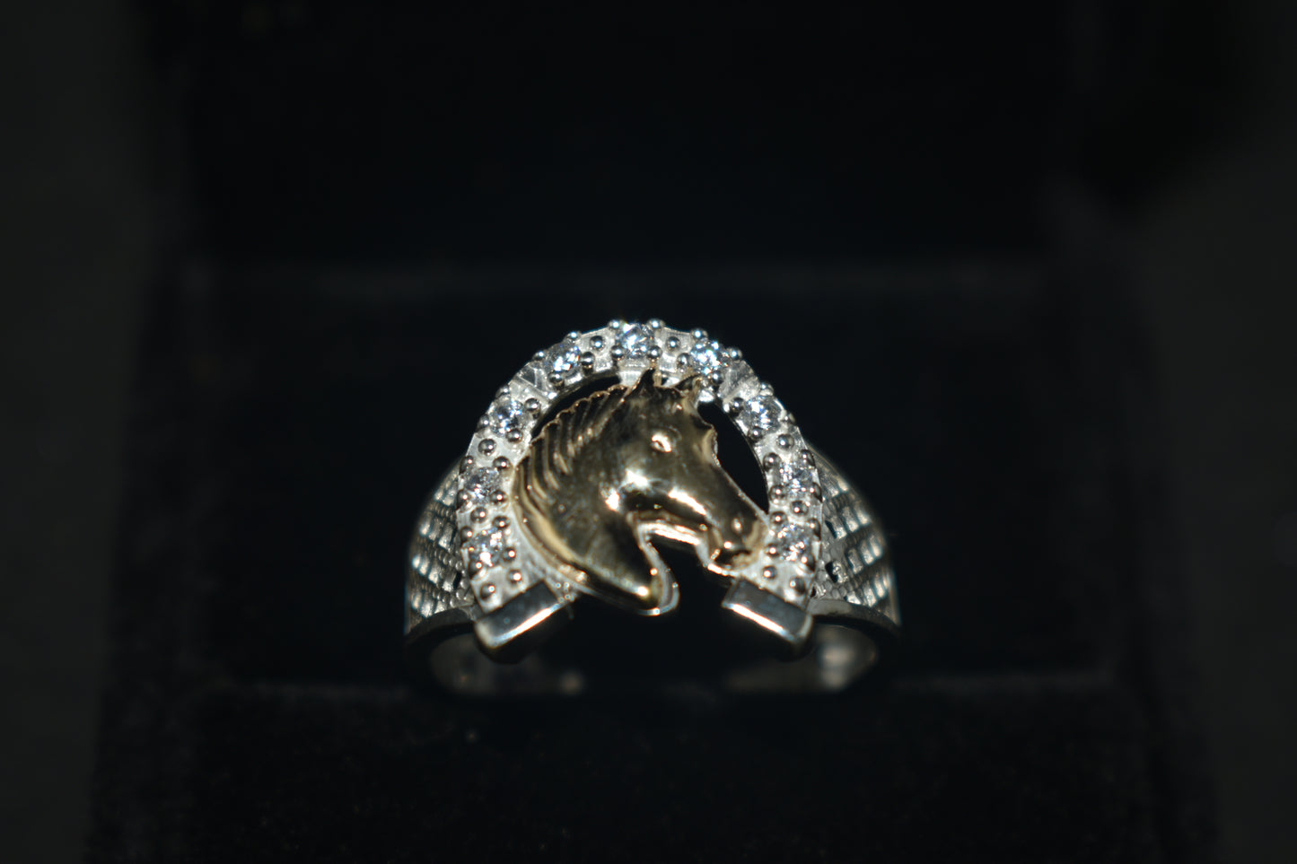 Anillo Caballo Circoniado